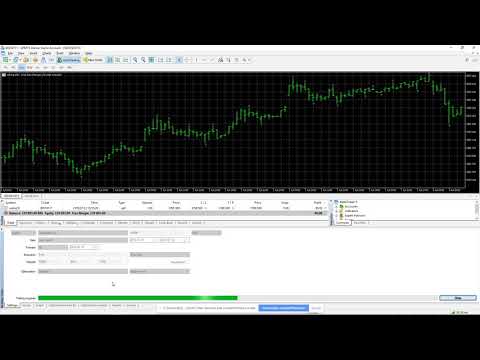 Video Theobaldo Mini indice