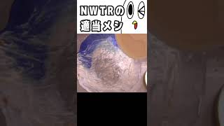 NWTRの適当メシ＃5　#shorts #料理
