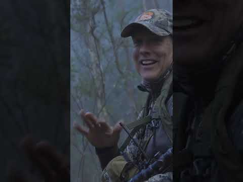 Another drive, another hunt.