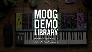Video thumbnail for EP-3 Expression Pedal | Delay Time Trick by Moog Music
