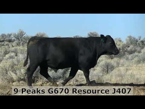 9 Peaks G670 Resource J407