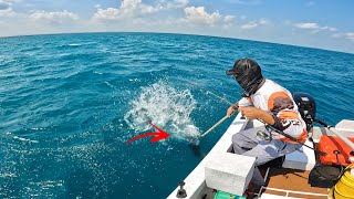 Download lagu THE FISH IS RAGEOUS ..!!! DON'T UNDERESTIMATE THE POWER OF THIS FISH, Daido Kraven Jigging Reel Test mp3 Download lagu THE FISH IS RAGEOUS ..!!! DON'T UNDERESTIMATE THE POWER OF THIS FISH, Daido Kraven Jigging Reel Test mp3