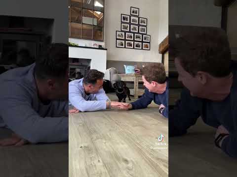 Ant and Dec Tiktoks PT 4