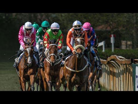ŽIVĚ 🔴 | dostihy Lysá nad Labem – 6. 7. 2023