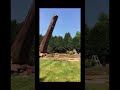 Redwood tree fell.