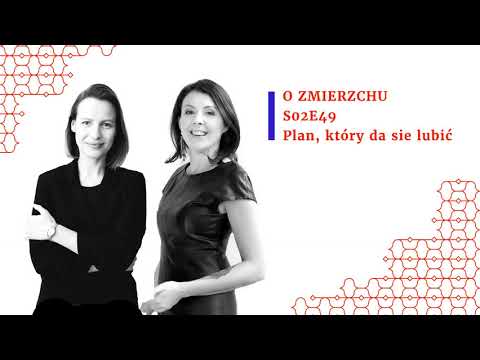 S02E49 Plan, który da się lubić - O  Zmierzchu