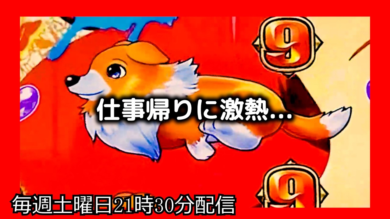 ラッキートリガーでお金を増やそうとしてみたら、とんでもない激熱がやってきました。【PAわんわんパラダイスCELEBRATION】【沖海6 パチンコ 海物語 ライブ ガチ践大海5!】#パーラーあげ実