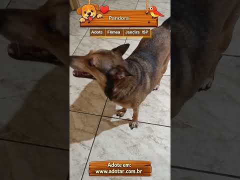 Vídeo de Pandora