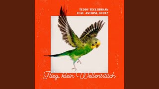 Flieg, klein Wellensittich