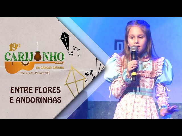 DVD Digital - 19 Carijinho da Canção Gaúcha