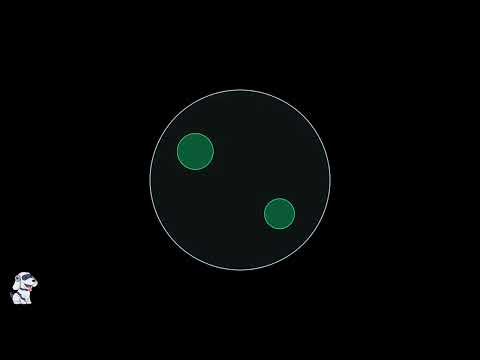 Volvox – Definition, Characteristics, Structure, Reproduction - Video