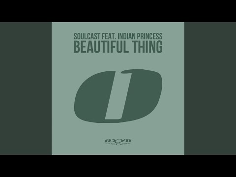 Beautiful Thing (feat. Indian Princess)