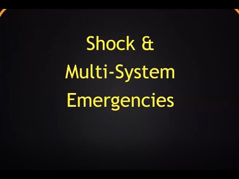 Boswell CEN Review Video - Shock Emergencies