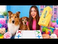 Squishy Trading Challenge With My PETS