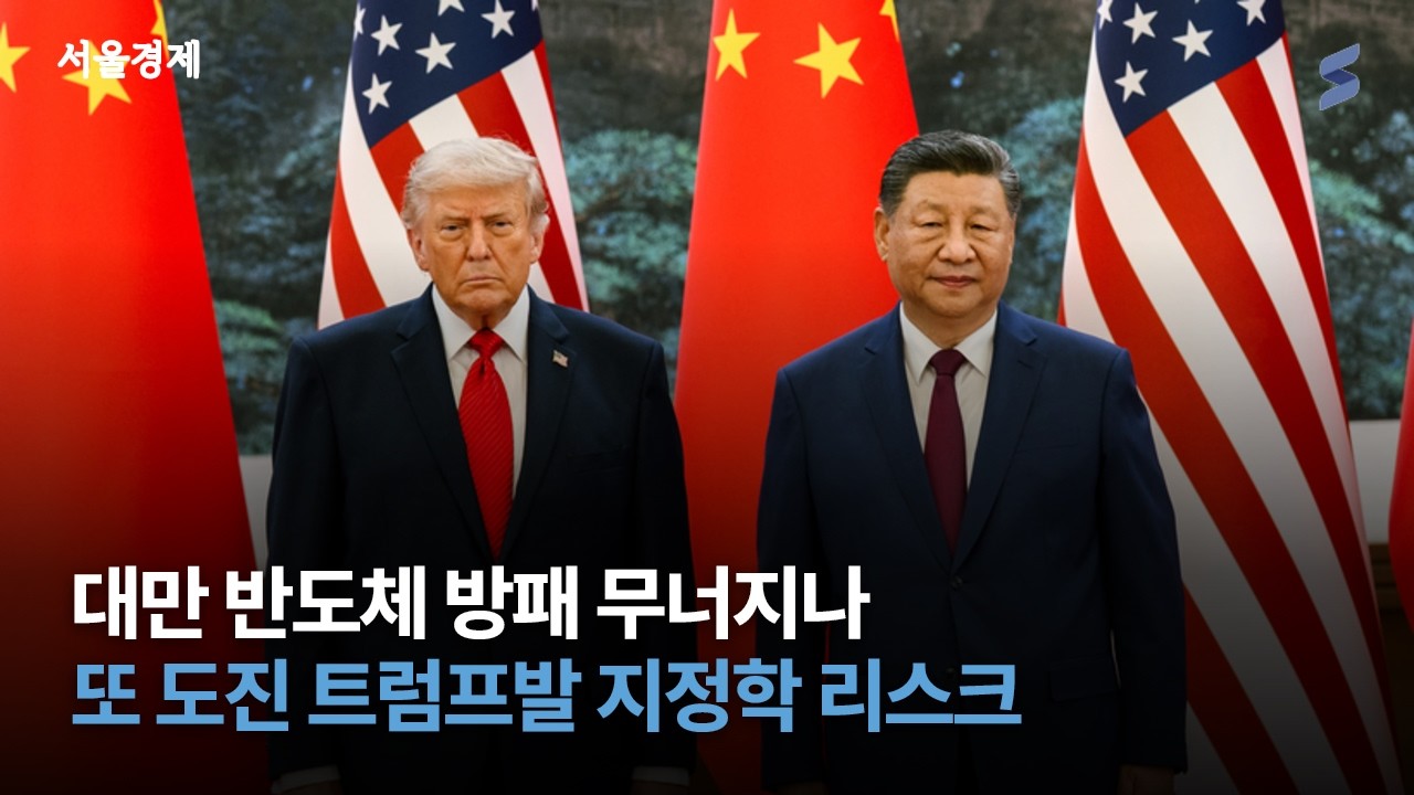'실리콘 방패'의 배신과 고래 싸움에 등 터질 한국 상황