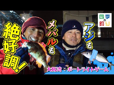 大阪湾でボートライトゲーム　アジもメバルも絶好調！（四季の釣り/2024年1月12日放送）