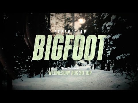 How to watch Expedition Bigfoot Season 4 in the UK on Discovery+ - UpNext by Reelgood