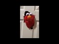 Elmo Smashes Through Door