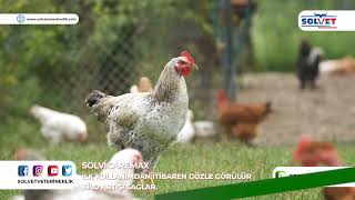 Bağışıklı ve Performans İçin SOLVICAREMAX / Solvet Veterinerlik