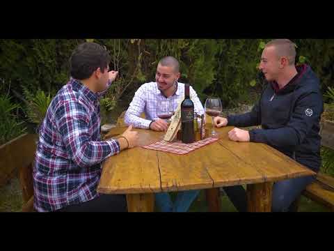 VINOTO I PESNATA - TONI VELICKOV ( OFFICIAL COVER )