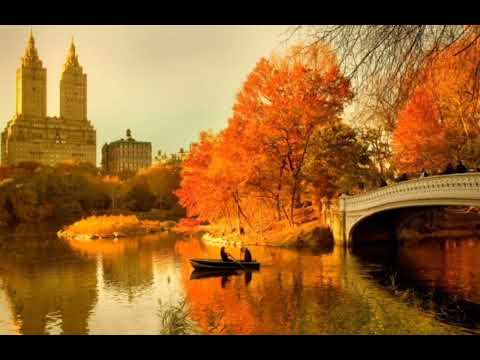 AUTUMN LEAVES/ＲＯＧＥＲ  ＷＩＬＬＩＡＭＳ