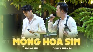 Mộng Hoa Sim | Quách Tuấn Du ft Trung Tín 