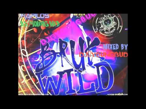 BRUK WILD RIDDIM MIX [PREVIEW] BLACK SPYDA RECORDS [JUNE 2013] @DJ-YOUNGBUD