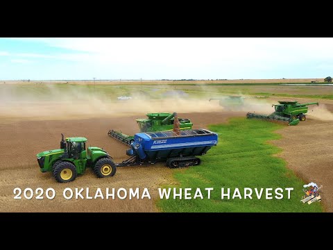 WHEAT HARVEST 2020 near Burlington Oklahoma