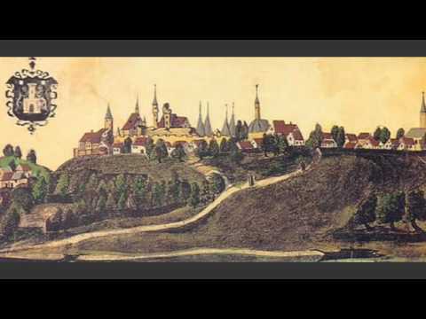 VINOGRADARSTVO FRUŠKE GORE - ILOK I BIKIĆ DO