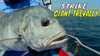 Download lagu Battle Fishing Sengit Di Perairan Sabang | MANCING MANIA STRIKE BACK (03/02/24) Part 1 mp3 Download lagu Battle Fishing Sengit Di Perairan Sabang | MANCING MANIA STRIKE BACK (03/02/24) Part 1 mp3