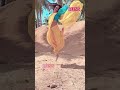 Nanditha Dance FUNS