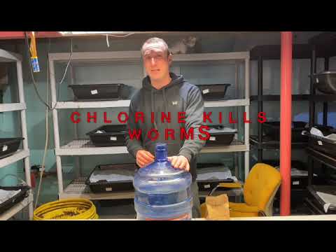 Watering your Worm Farm