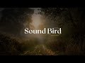 Kaskade - Please Say You Will (Ft. Adam Klopp ...