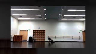 Beyonce Partition Choreography