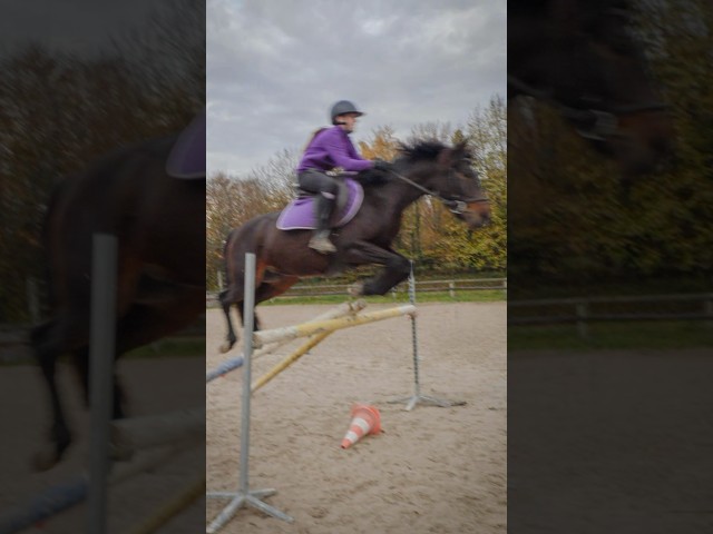 Loustic: sous le sapin