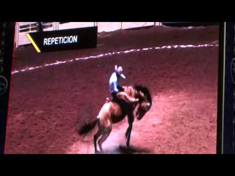 Excelente monta e Impactante azotada de yegua sobre el Jinete de Valle Saltillo