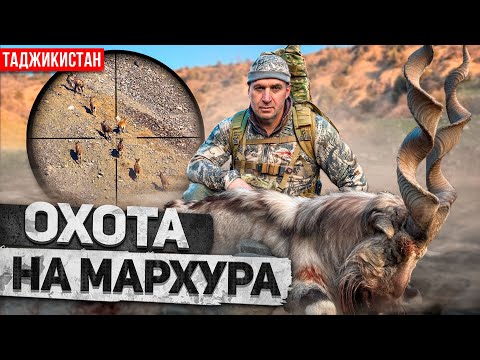 Трофейная охота в Таджикистане. Бухарский Мархур (2024) [4K]