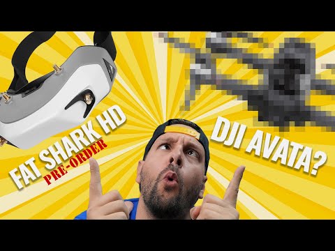 The Summer of FPV is here! Fat Shark & DJI leading the way