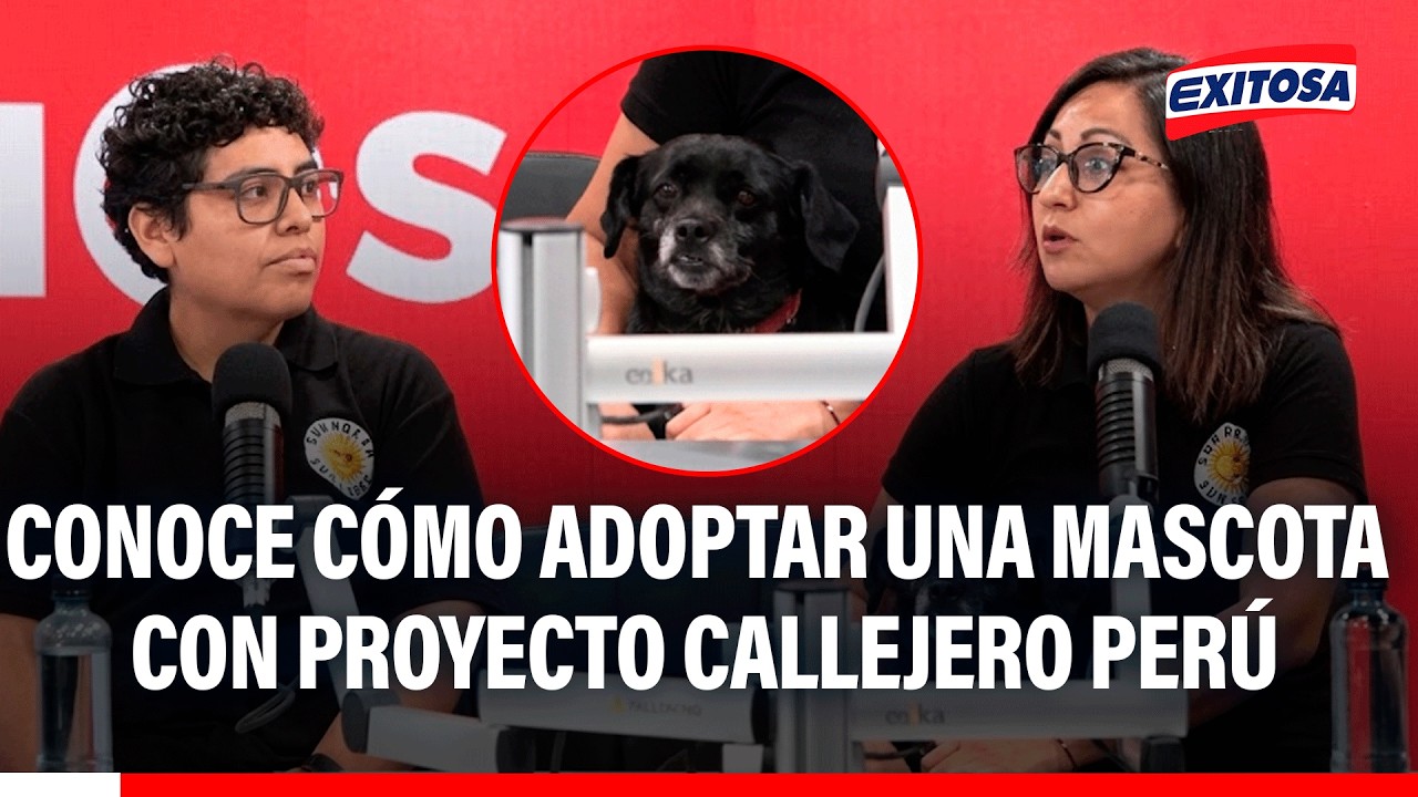 🔴🔵Adopción de mascotas en Proyecto Callejero Perú puede hacerse presencial y virtual