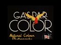 Gaspar Color 1936