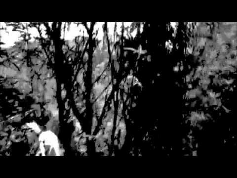 Khari Kill - "No Cocaine" - Golden Riddim (Goldcup Records)