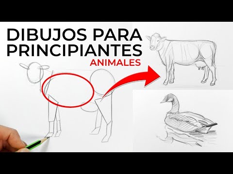 DIBUJAR ANIMALES NUNCA FUE TAN FÁCIL!