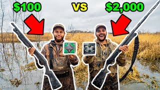 CHEAP vs EXPENSIVE Duck Hunting CHALLENGE!!! (CATCH CLEAN COOK)
