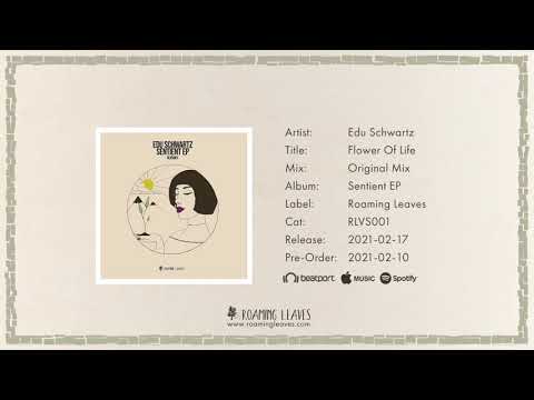 Edu Schwartz - Flower Of Life (Original Mix) [RLVS001]
