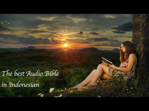 Indonesian Audio Bible video