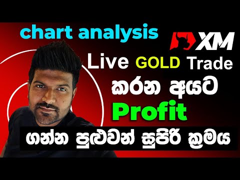 XM Trade live Gold Market Analysis Sinhala for beginners