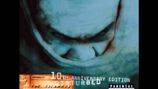 Disturbed-Meaning of Life