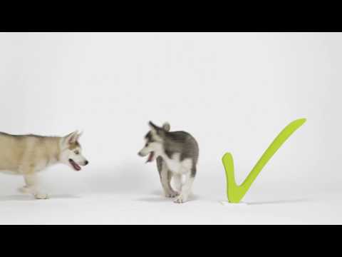 Navita Schweiz GmbH - Die Darsteller