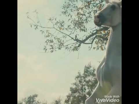 shikwa jawab shikwa by amjad sabri....