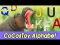 EN Huge Hippo Is Eating Alphabet ㅣCoCosToy